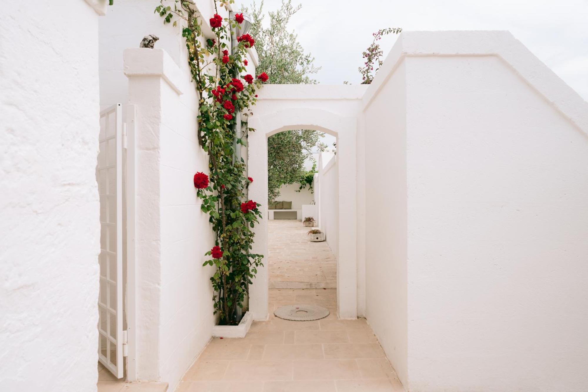 Bed and Breakfast Oltre Gli Ulivi Остуни Экстерьер фото