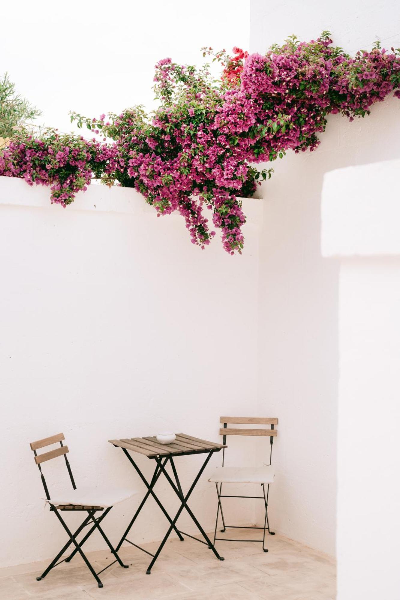 Bed and Breakfast Oltre Gli Ulivi Остуни Экстерьер фото
